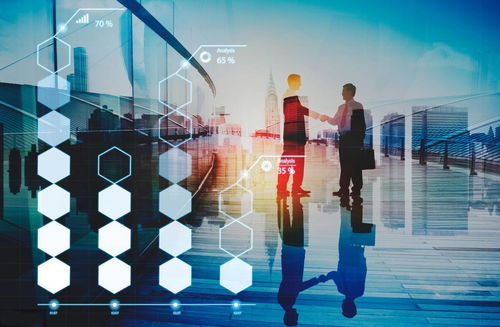 炎頌科技 企業(yè)信息化的內(nèi)涵與外延與信息技術(shù)咨詢服務(wù)